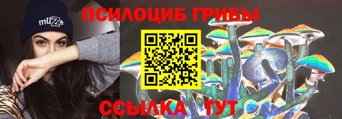 Жигулёвск  Галлюциногенные грибы ЛСД  Вход с VPN 